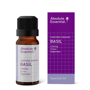 Absolute Essential Basil Essential Oil (Organic)