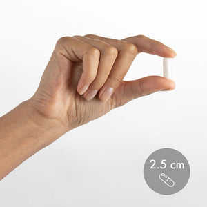 Dr Mercola Magnesium Advanced L-Threonate capsule size