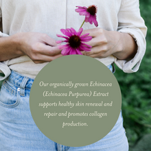 Woman holding Echinacea with information bubble about The Herb Farm Renew & Refine Facial Toner which says Echinacea Extract supports healthy skin renewal and repair, and promotes collagen production.