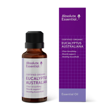 Absolute Essential Eucalyptus Australiana Essential Oil (Organic) 25ml