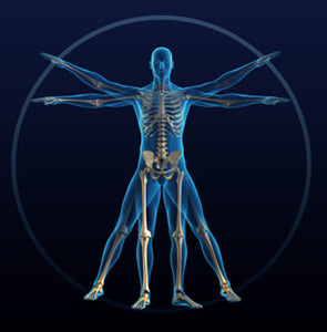 Kinesiology at Be Vibrant Holistic Wellness - In Person or Remote