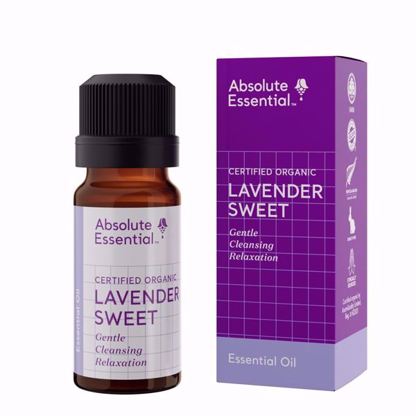 Absolute Essential Organic Lavender Sweet is a very light Lavender oil specifically grown for its gentle Lavender scent.