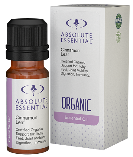 Absolute Essential Cinnamon Leaf Essential Oil 10ml (Organic)