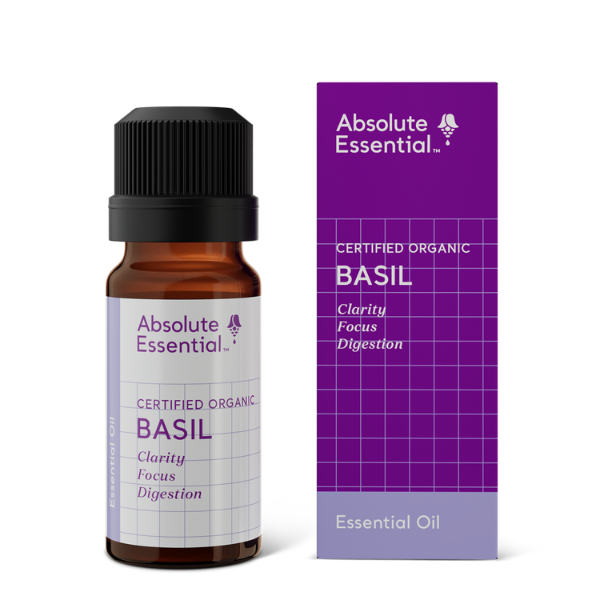 Absolute Essential Basil Essential Oil (Organic)