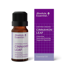 Absolute Essential Cinnamon Leaf Essential Oil 10ml (Organic)