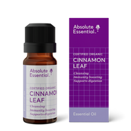 Absolute Essential Cinnamon Leaf Essential Oil 10ml (Organic)